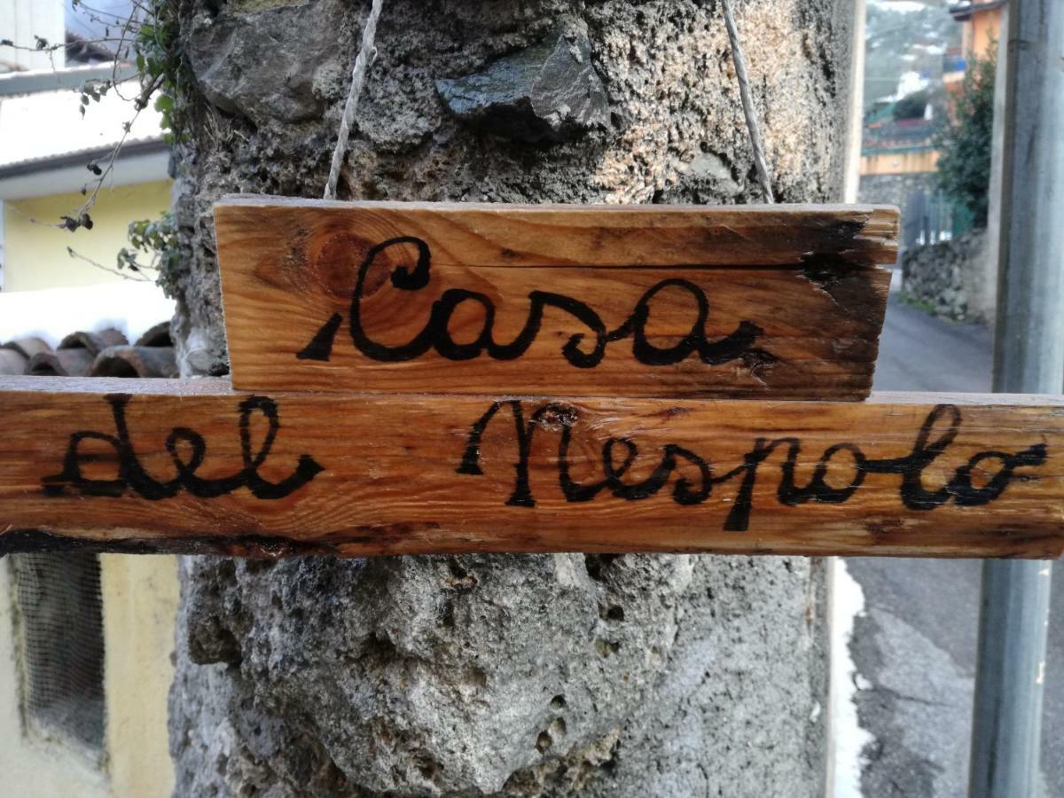 Pilzone Casa Del Nespolo B&B 외부 사진